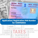 Application/ Registration PAN Number for COMPANIES